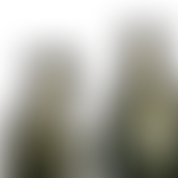 בונים וגרונים, קלמן וזלמן