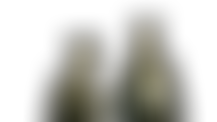 בונים וגרונים, קלמן וזלמן