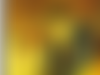 על הימים המופלאים שבָּהם נעשה פבלו ל"פיקאסו"