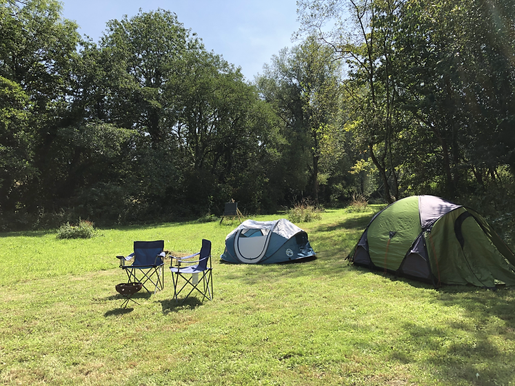 Nearly Wild Campsite Little Harford Wild Camping Devon Nearly
