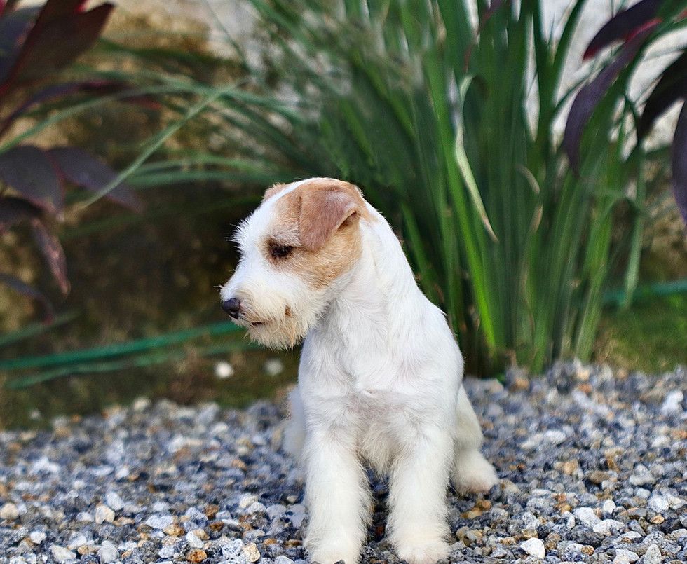 WhatsApp Image 2022-07-05 at 16.02.15.jpeg