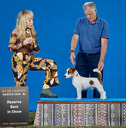 Jackinlove Giant Golia aka Gigio