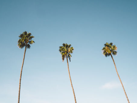 Moving to Los Angeles: Tips & Resources