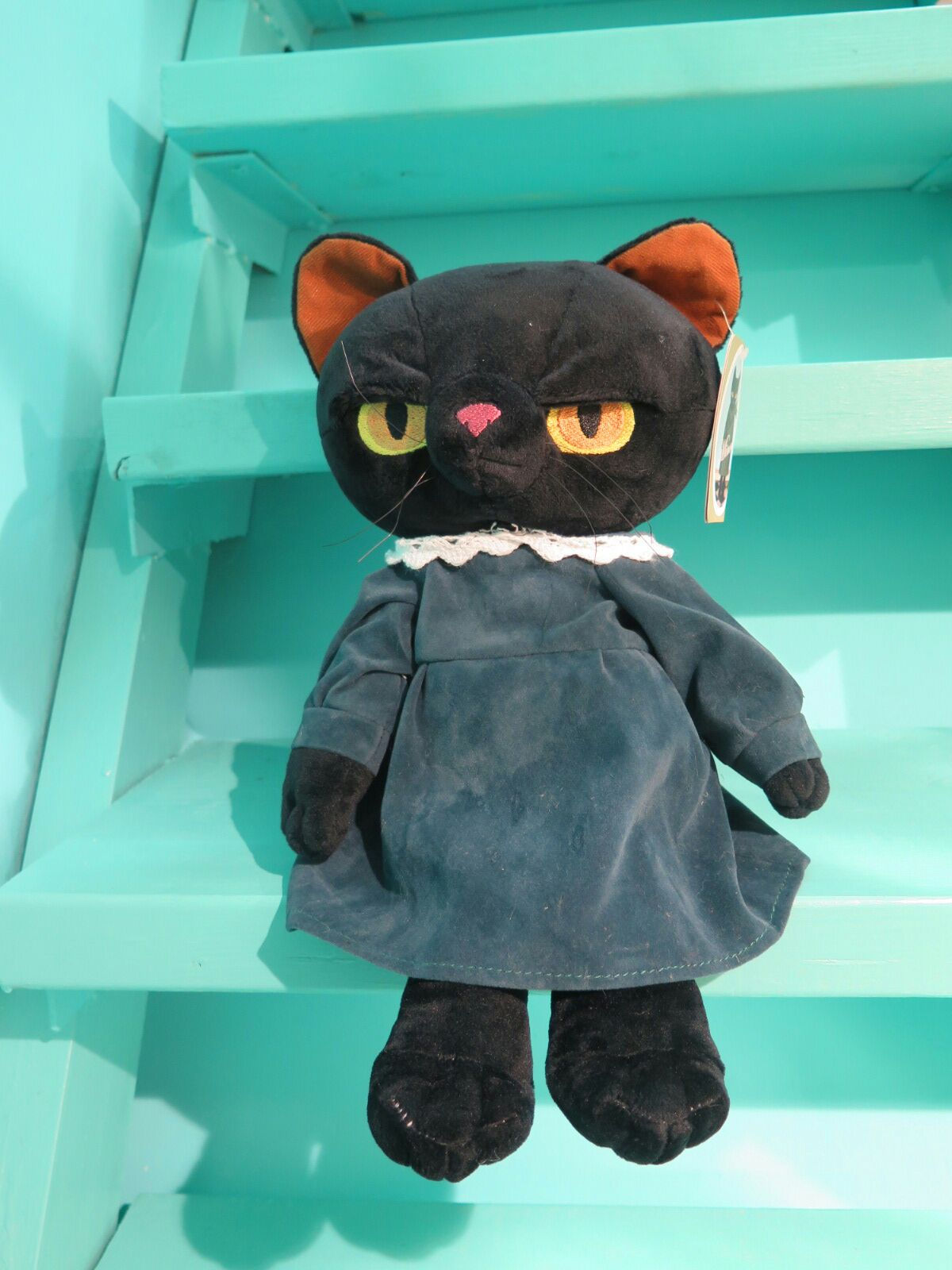 米田民穂  日本臭面貓😼 Tami Homaita Minou Blue 49cm