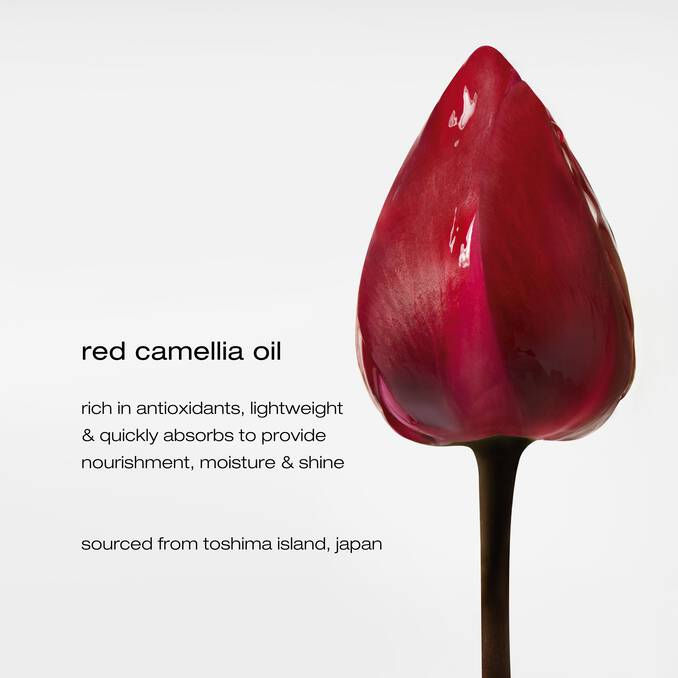 Thumbnail: essence absolue nourishing universal hair & skin balm