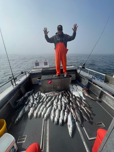 A Pile of Fish