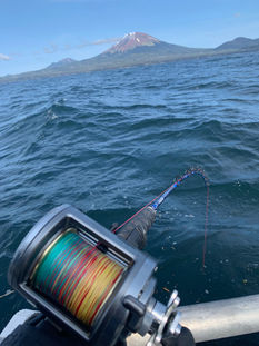 Halibut Fishing in Sitka