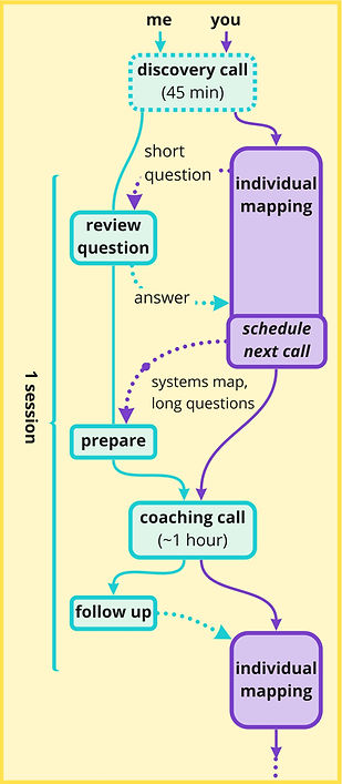 Systems Mapping Coaching Process