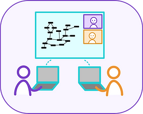 systems mapping individual coaching