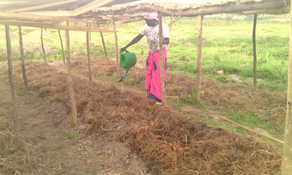 Miniature : artisanat des mères celibataires du Rwanda