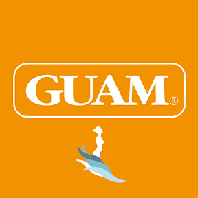 GUAM Logo Novo.png