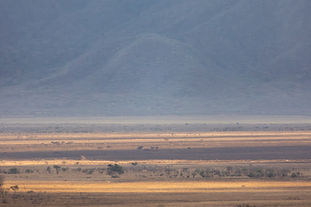 Nationaal park Mkomazi met een adembenemend landschap verlicht door de zon en een indrukwekkende berg erachter