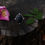 Thumbnail: Compass Ring