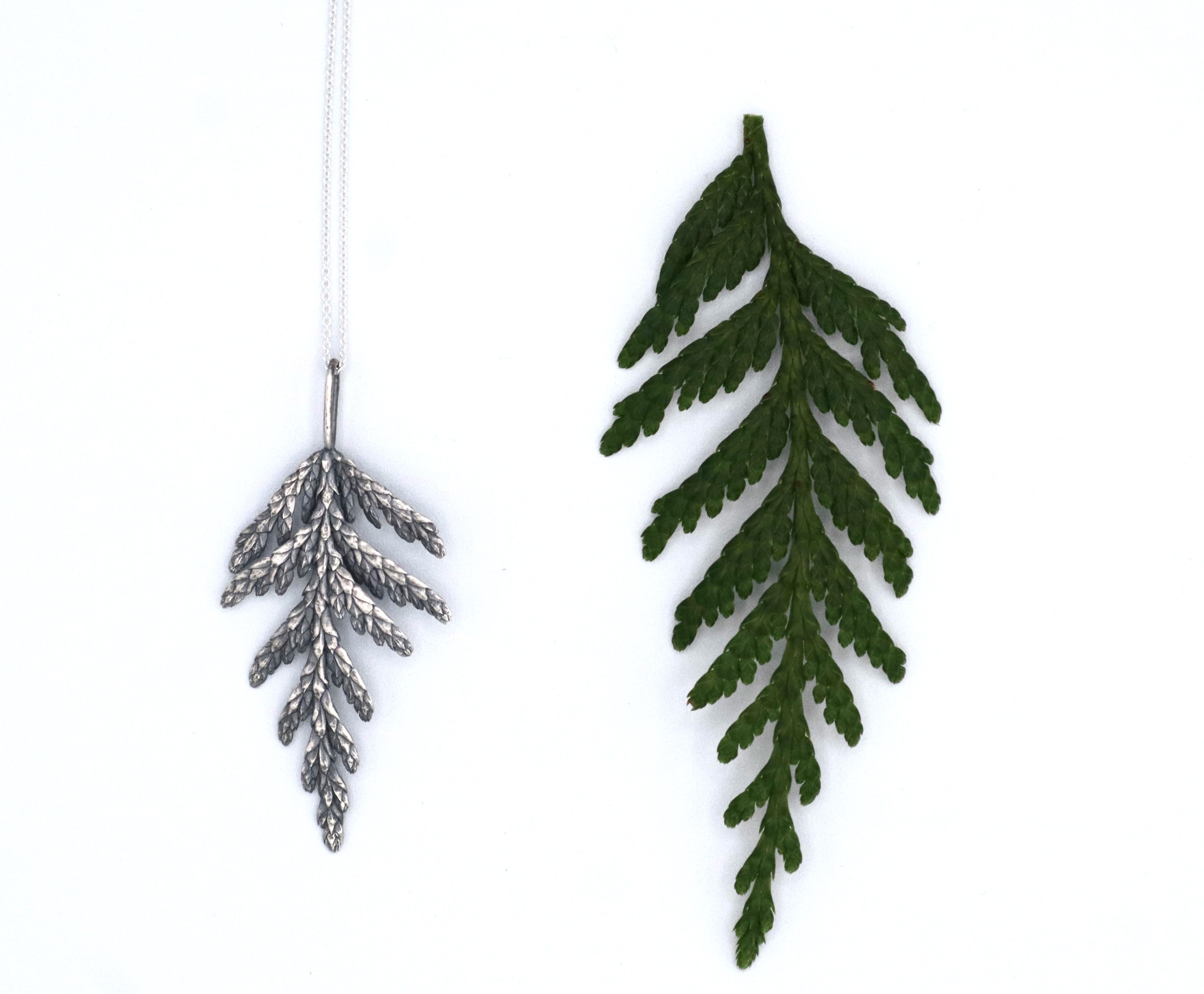 Western Red Cedar Necklace