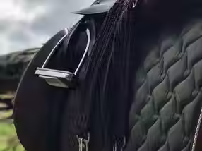 Keeping Your Leather Tack in Beautiful Condition