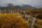 251026JWDRP65741aA.jpg