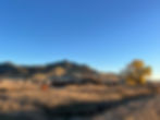 IMG_6203.jpeg