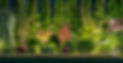Landscape Design 3