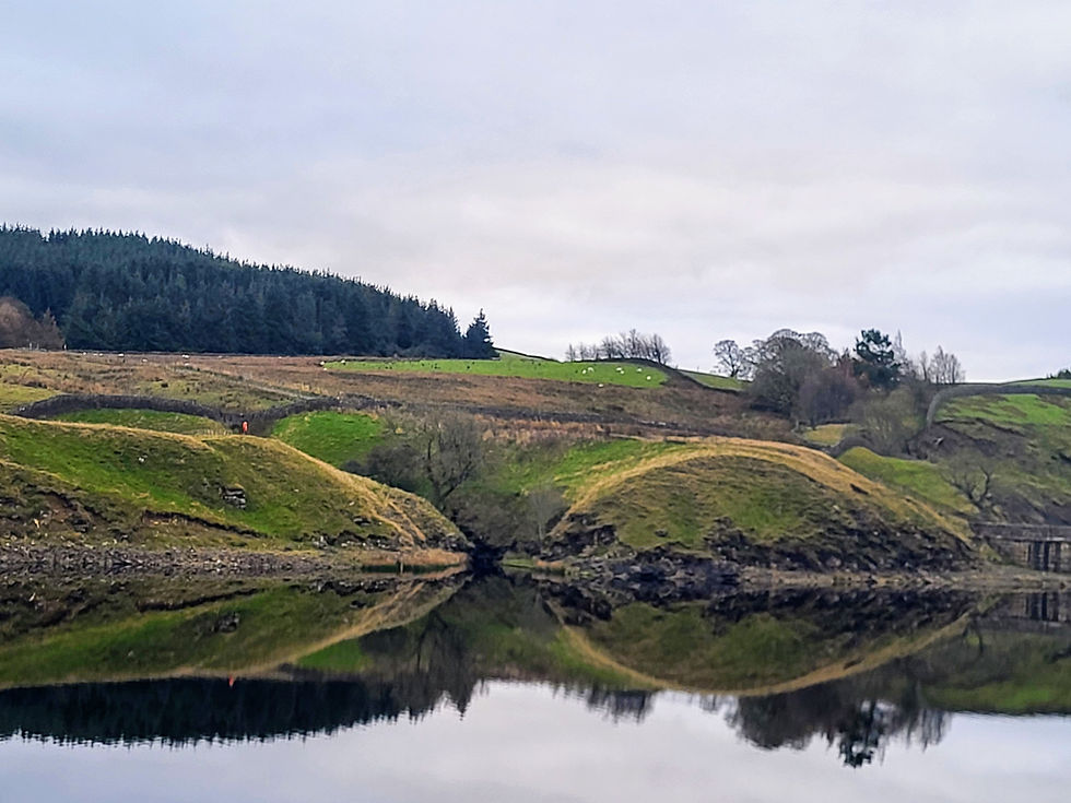 Grassholme Reservoir 1.jpg