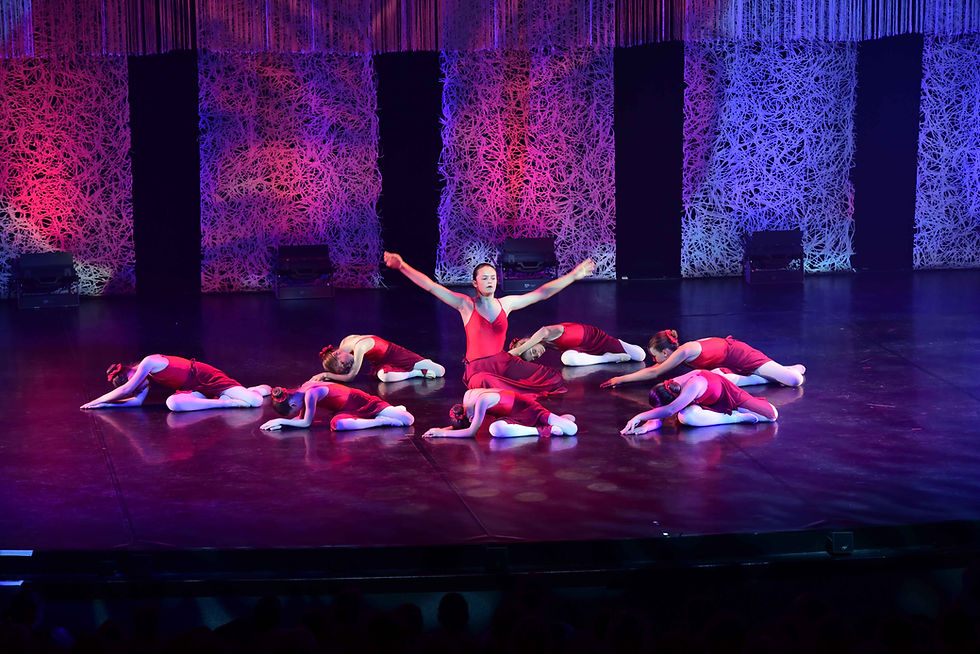 PHOTOS BALLET 2025 - Best of 25 ans