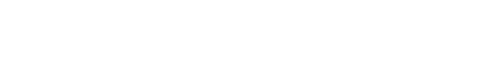Pleroma Flowers London logo
