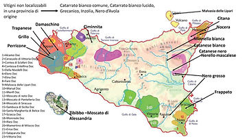 Sicilia wine map.jpg