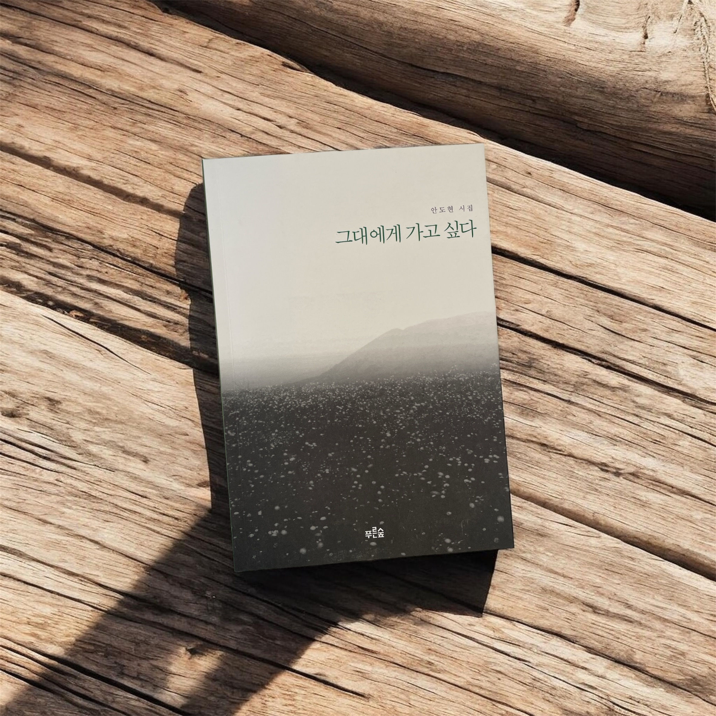 그대에게 가고싶다