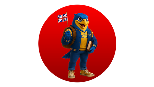 PAGINA WEB  (11).png