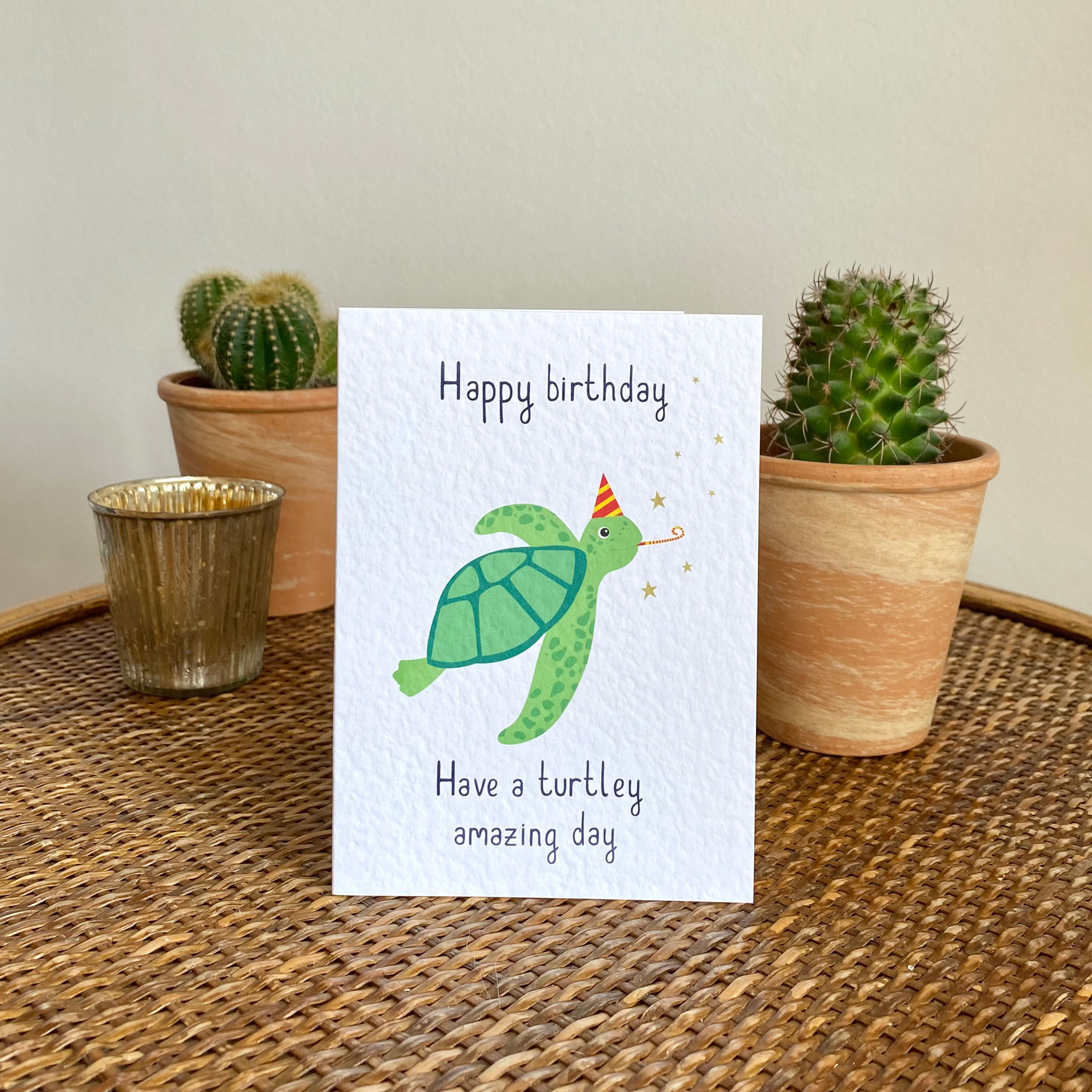 Turtley amazing birthday