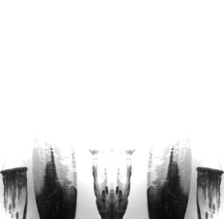 C19AB840-1F59-4ADA-A29E-0527B05585E1.JPE