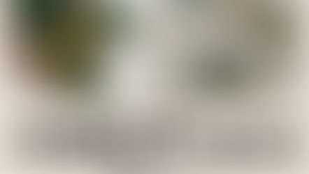 차별화된 카지노 플랫폼 구축, 성공적인 사업의 첫걸음 🚀 카지노솔루션임대