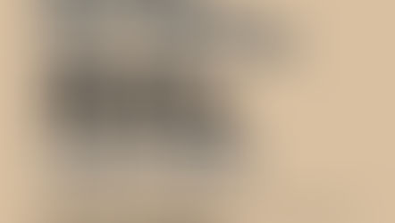 Strategic Partner | 호원센터 | 성피 알 공급