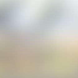 REDISTRICTING: Empowering Communities for Jobs, Education & Justice