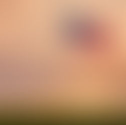 Project 2025 Leader Kevin Roberts Pushes for A Second American Revolution.