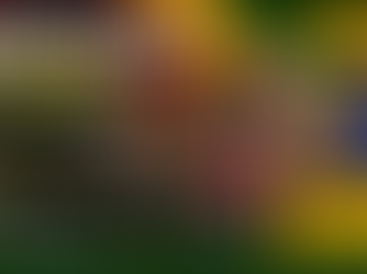 Empowering Change: How the Community Brainstorming Conference Elevates Black Voices in Milwaukee