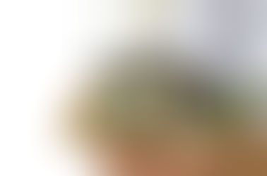 【前橋市】不動産売却|相続不動産の売却手順、高値売却のコツ、必要書類