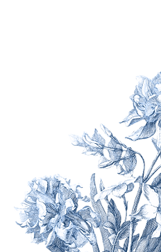 Mask group (1).png