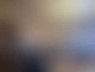 Ryan from balance. of state testifies