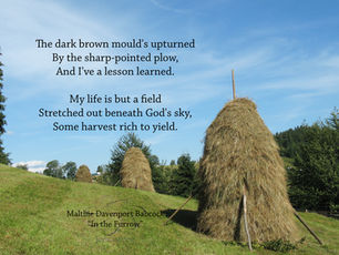 Happy Tickaversary - Year 4