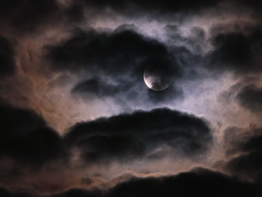 Superpower Unlocked: Seeing the Invisible