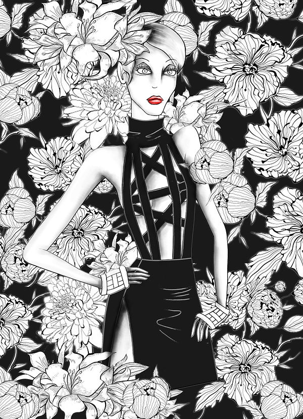 fashion illustration