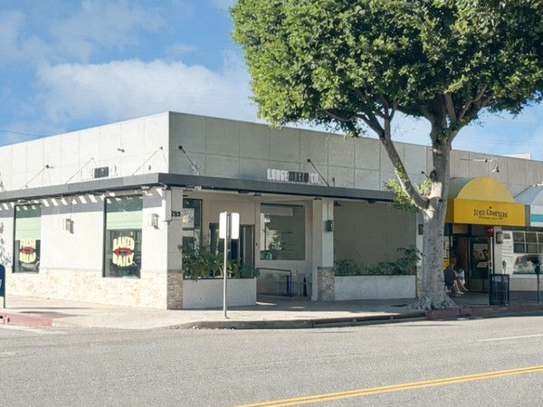 Commercial building on a street corner with a large tree showing exterior of 295 s robertson blvd