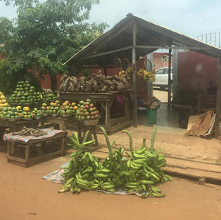Ivory Coast Fruit Stand.jpeg