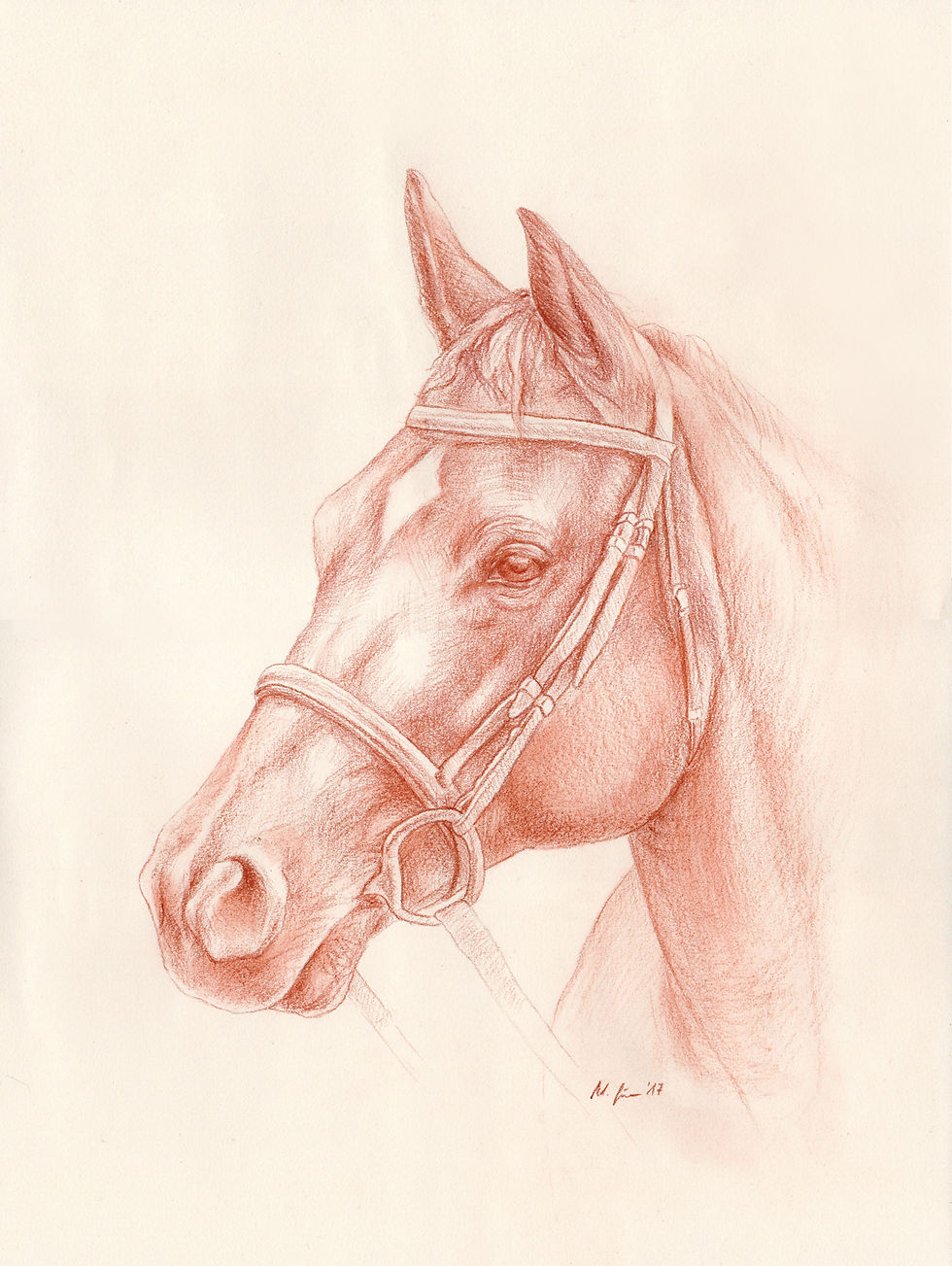 Pferd