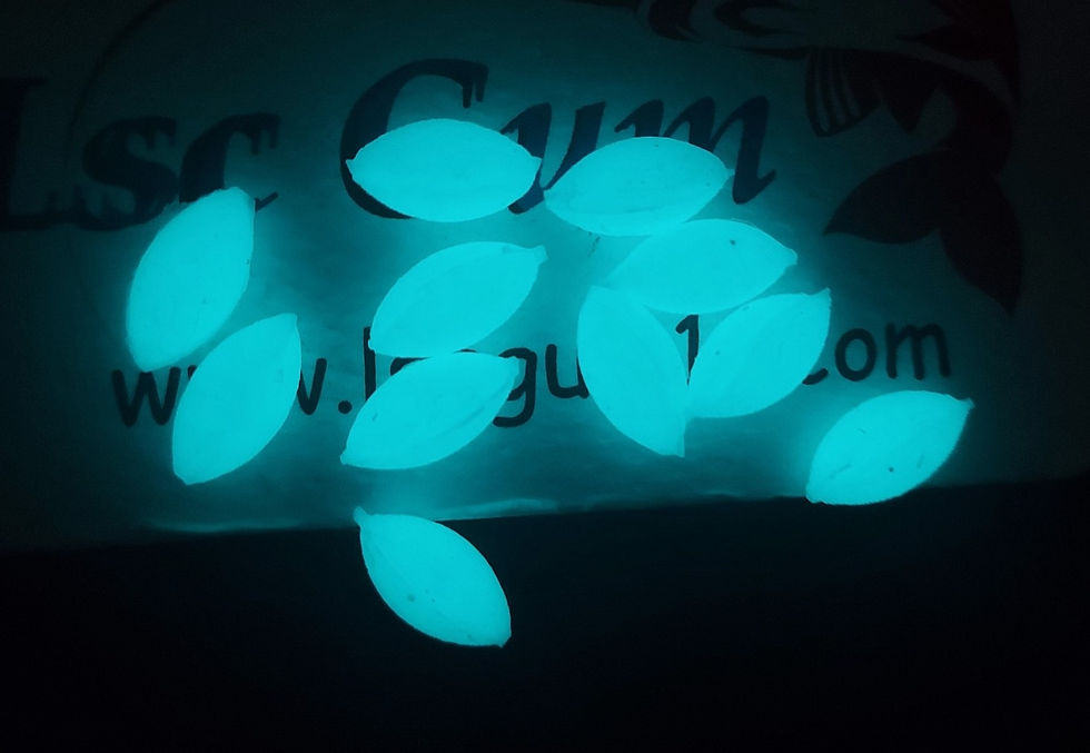 Thumbnail: Perles ovales non flottantes phospho (OD27)