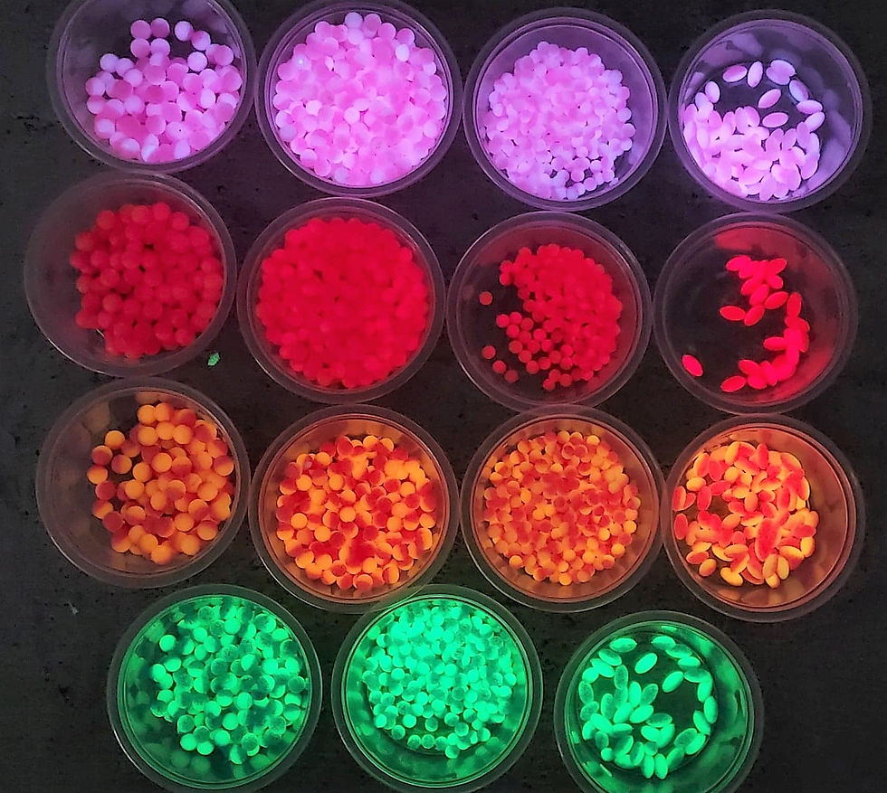 Perles surfcasting pêche mer LSCGum