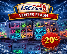 Ventes flash.png