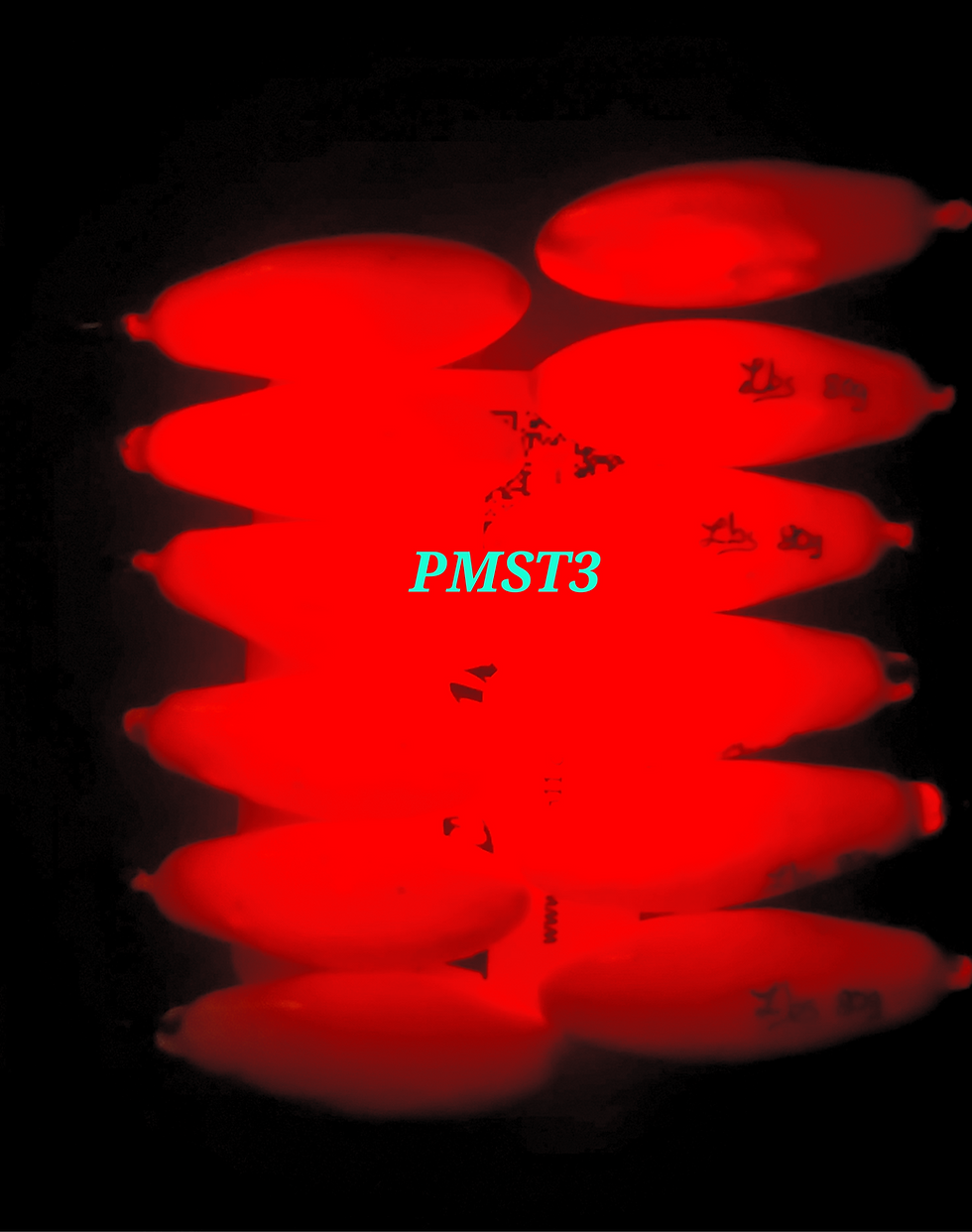 Miniature : Plomb Missile LBS  SANS TIGE (PMST3)