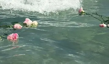 Luna Luna Image.webp