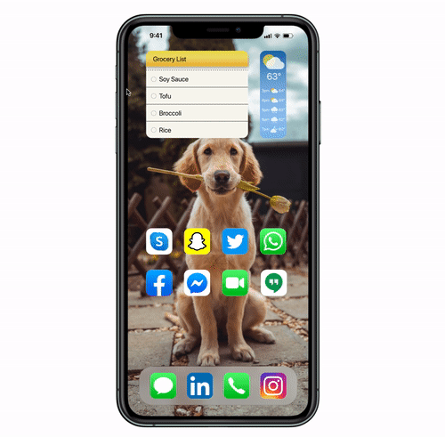 dailydog.gif